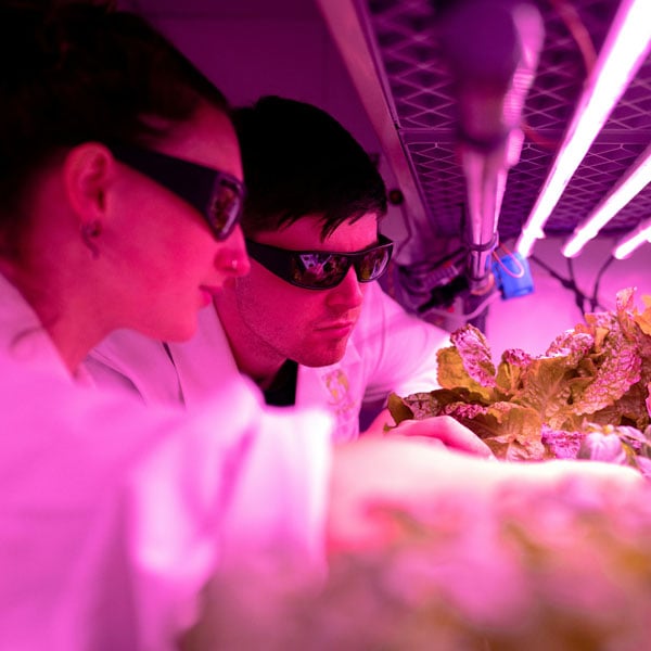 600px_thisisengineering-FDzh1--azLM-unsplash