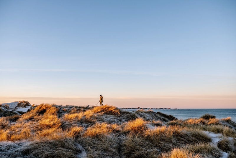 dunes-klitmoller-denmark_-Mette-Johnsen_web